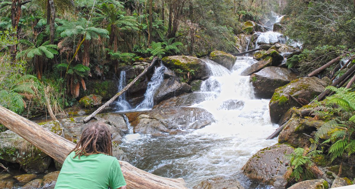Keppel Falls – Lady Talbot Drive – Yarra Ranges National Park – Victoria