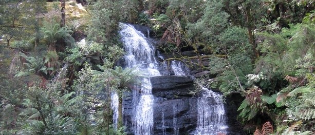 Triplet Falls – Great Otway National Park – Lavers Hill – Victoria