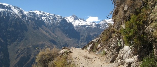 Colca Canyon (Cañón del Colca) – Cabanaconde – Peru