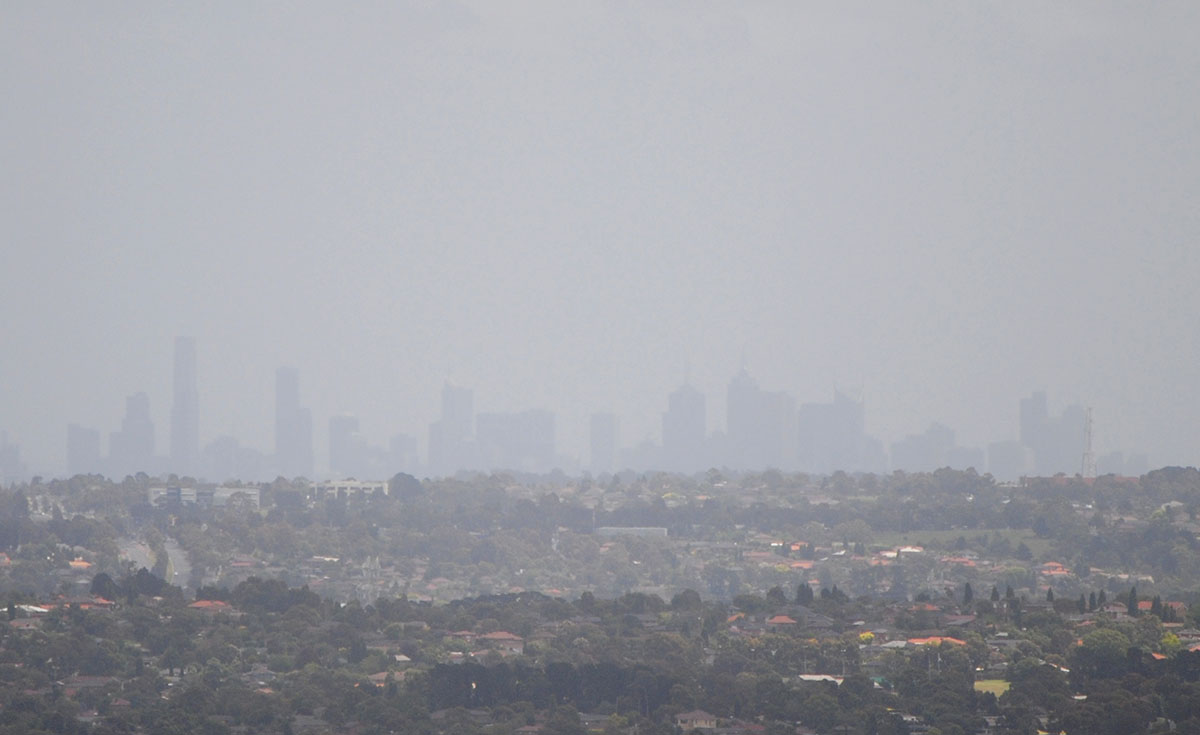 A hazy view of Melbourne's skyline from the Ferntree Gully Circuit (Dandenong Ranges National Park)