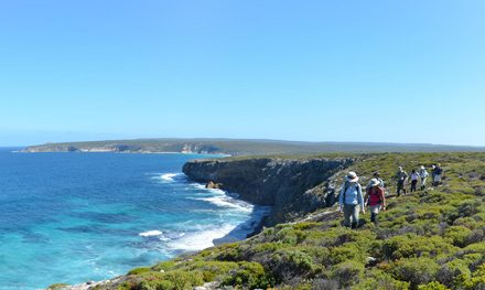 Kangaroo Island: Dramatic coastlines, off-track hiking, and a bit of luxury
