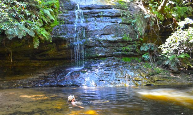 Pool of Siloam – Blue Mountains: A walk and swim with the kids