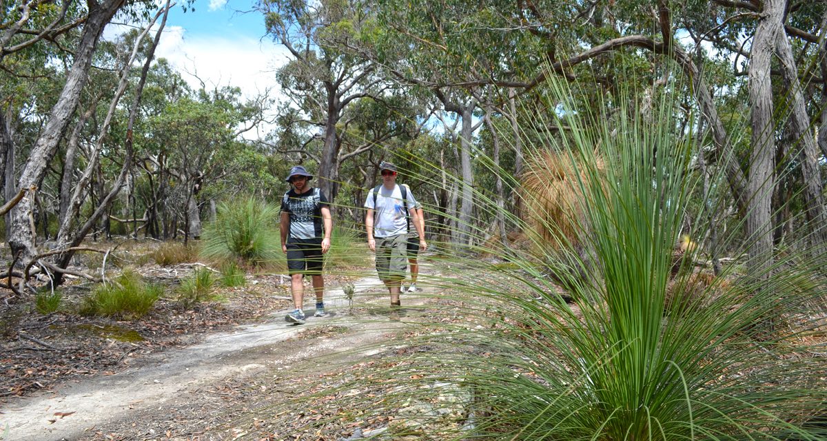 Grass Tree Walk – Brisbane Ranges National Park – Victoria