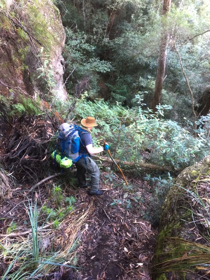 PLB Rescue in the Budawangs