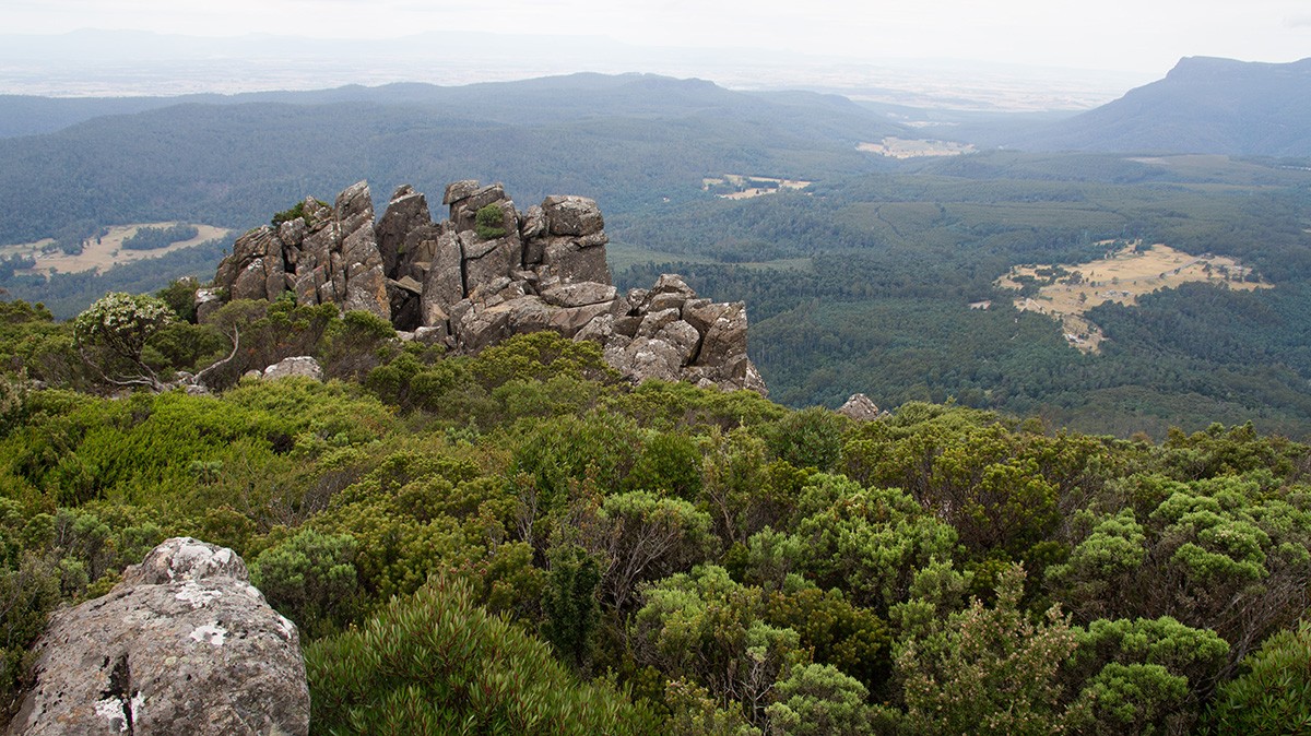 Quamby Bluff Hike - Tasmania