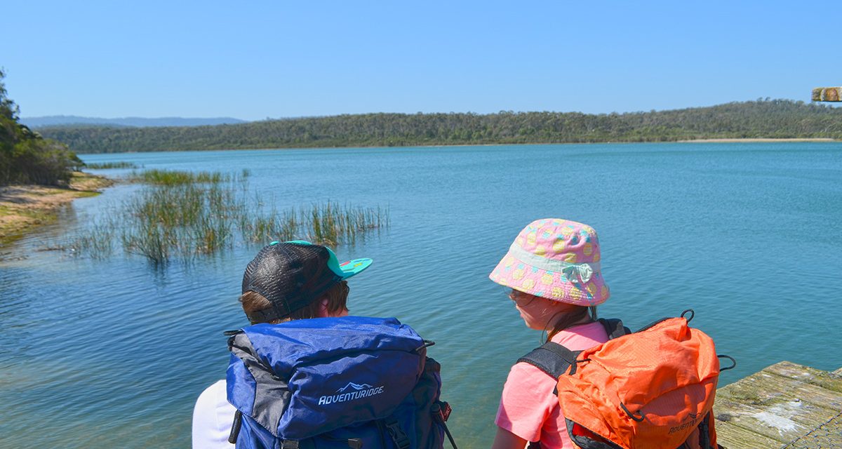 Lysterfield Lake & Lysterfield Park: The ultimate guide