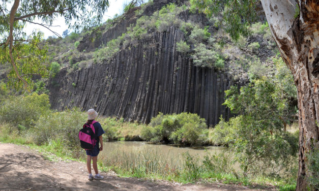 Organ Pipes National Park: Hiking, picnicking, wildlife & geology at Melbourne’s doorstep