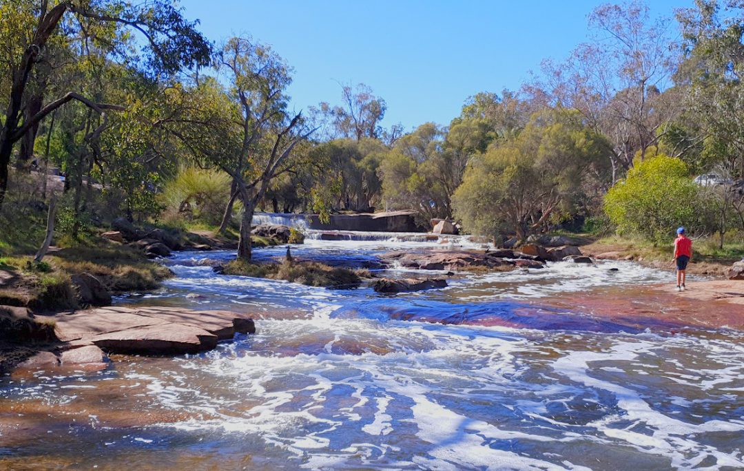 Hiking Perth: An ultimate guide to the best bushwalks Perth has to offer